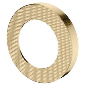 Axle Industrial Cover Plate in Urban Brass