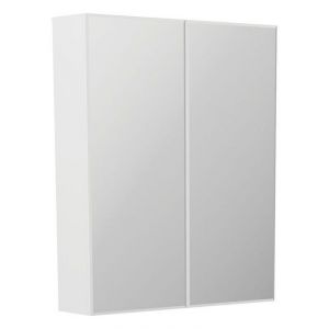 Bevel Edge 600mm Mirror Cabinet