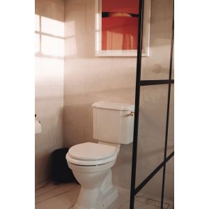 Birmingham Close Coupled Toilet With Gold Fittings - White Seat