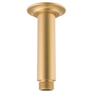 Eternal 100mm Shower Dropper in Brushed Brass (PVD)