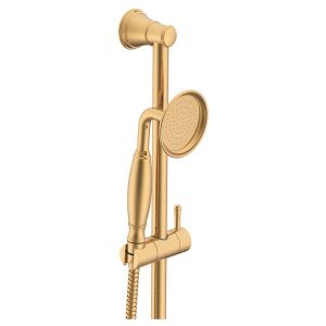 Eternal Hand Shower On Rail in Brushed Brass (PVD)