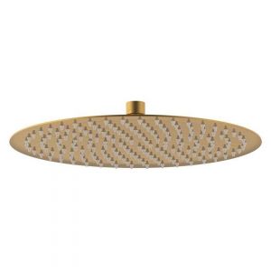 Soul Rain Shower Rose in Brushed Brass (PVD)